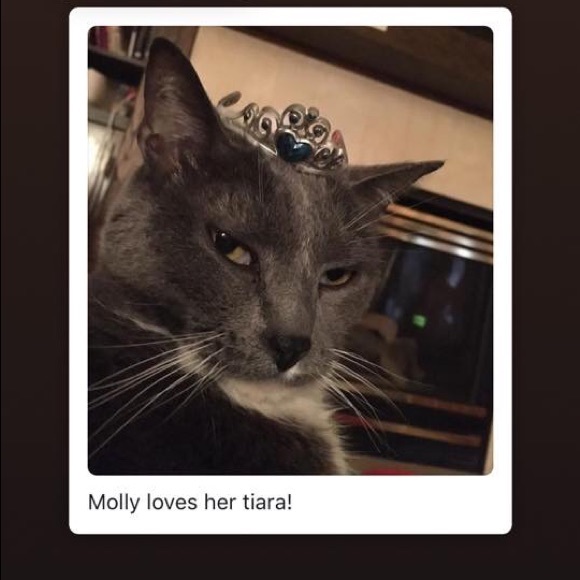 Meet your Posher, Gabby - Picture 8 of 8